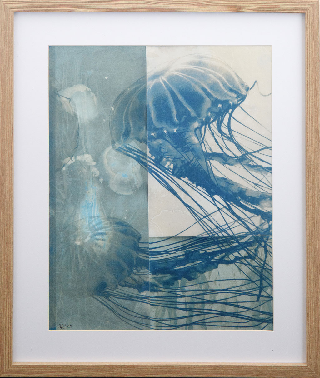 Jellyfish; 2025; Cyanotypie auf Aquarellpapier; 40/50 cm inkl. Rahmen