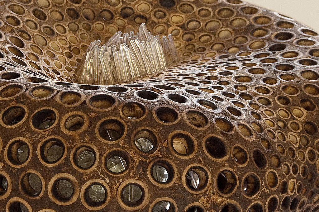 genesis 10 - protozoa fusca (Detail); 25/45/45 cm