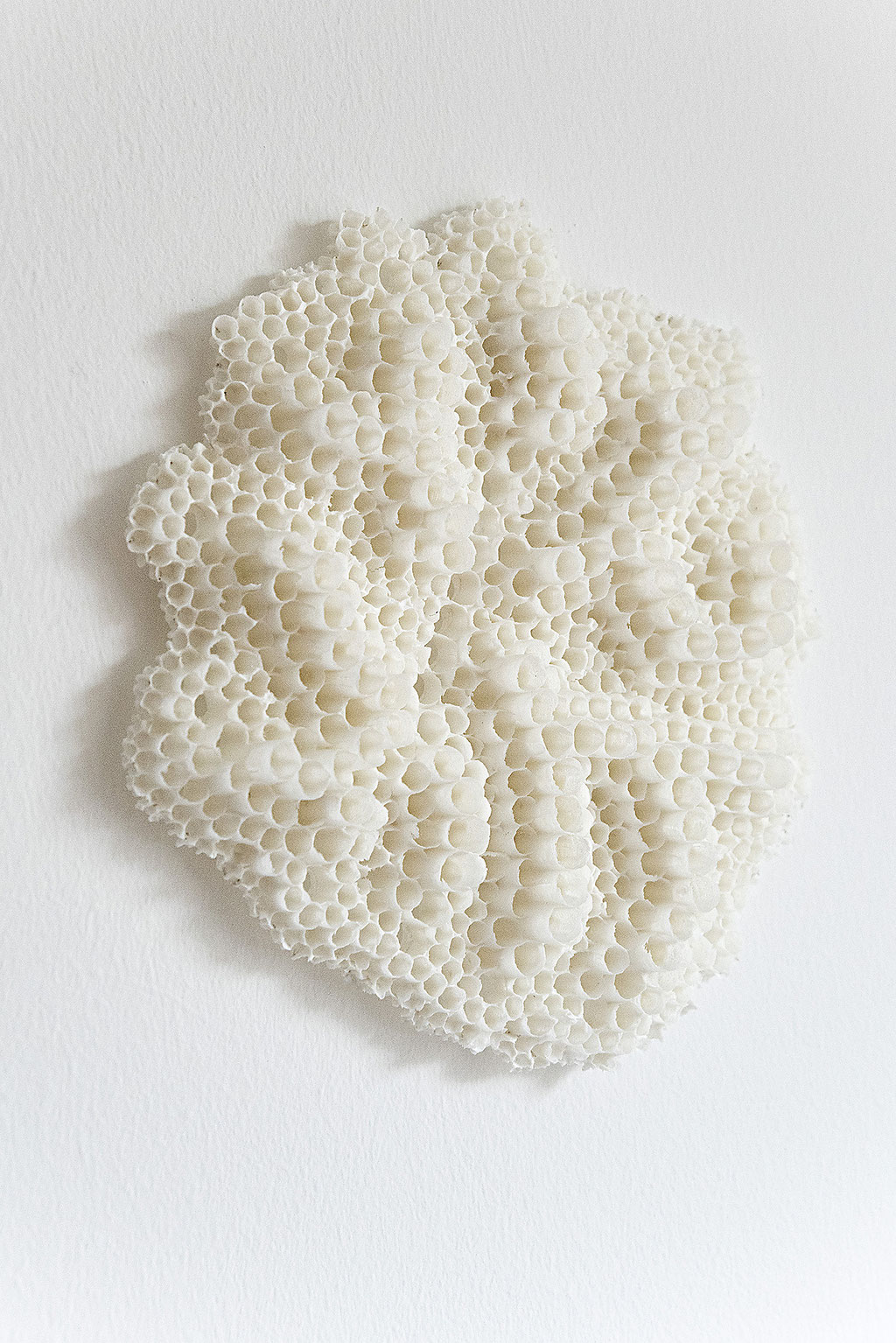 the delicate conquest of the surface; 2020; porcelain; 27/30/4 cm