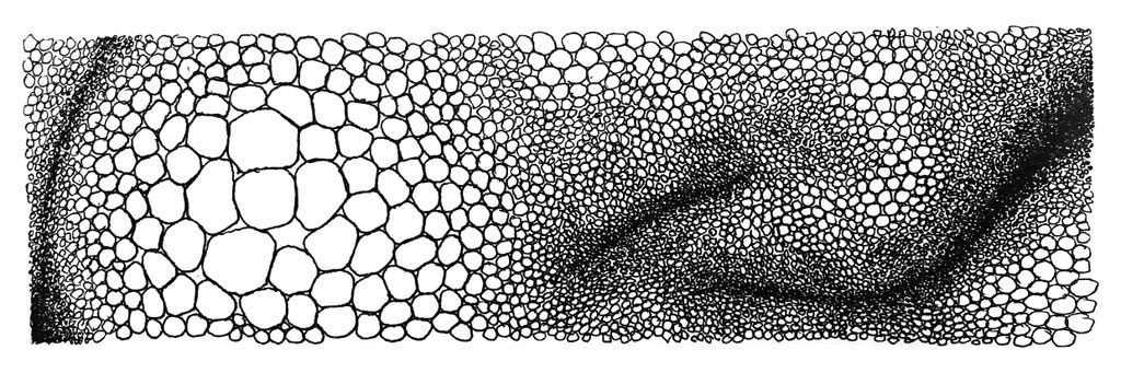 cluster 2 - Zeichnung Fineliner, 7/23 cm