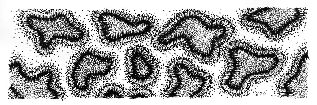cluster 1 - Zeichnung Fineliner, 7/23 cm