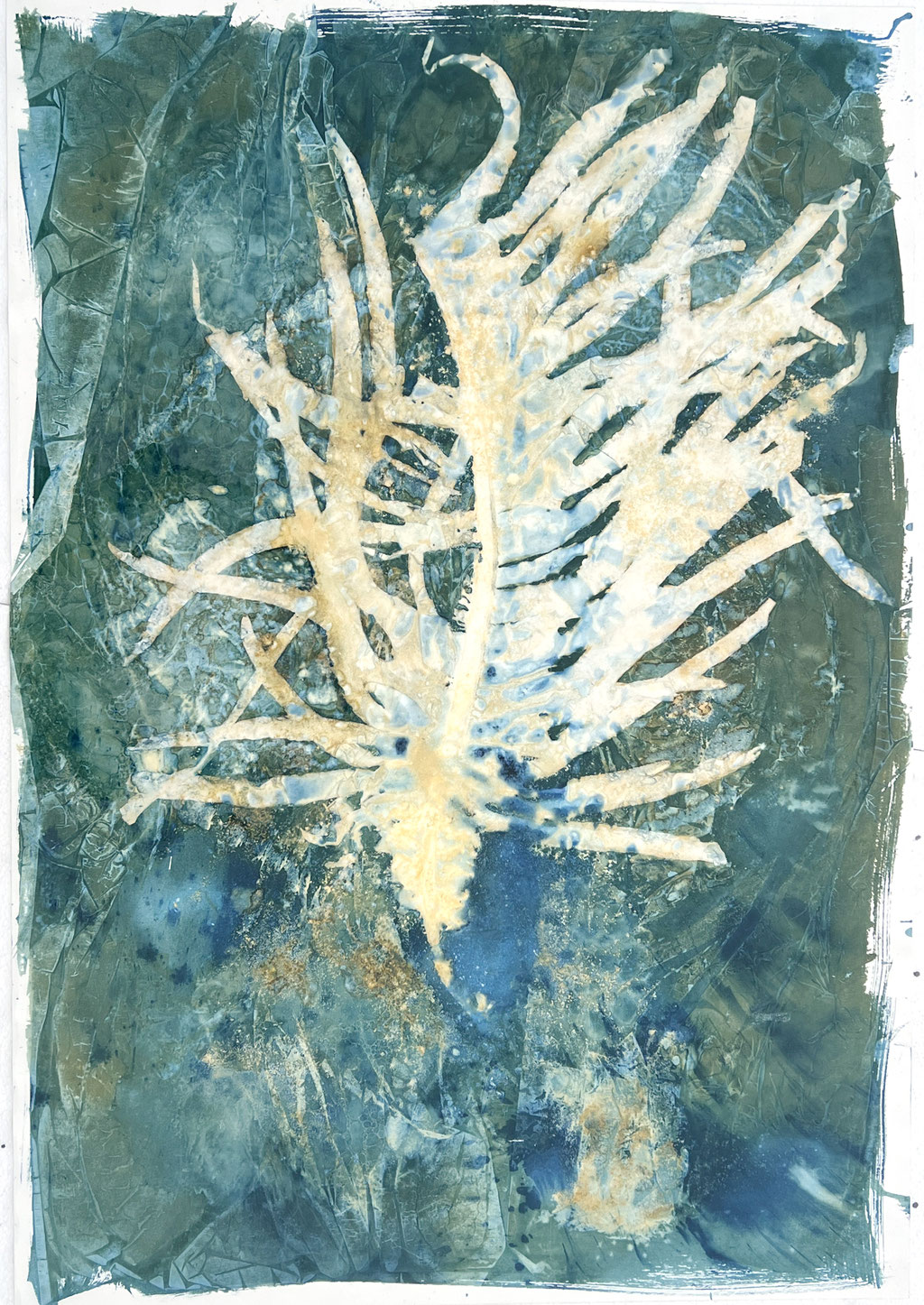tang; 2024; Jellyfish; Cyanotypie auf Aquarellpapier; 70/100 cm inkl. Rahmen