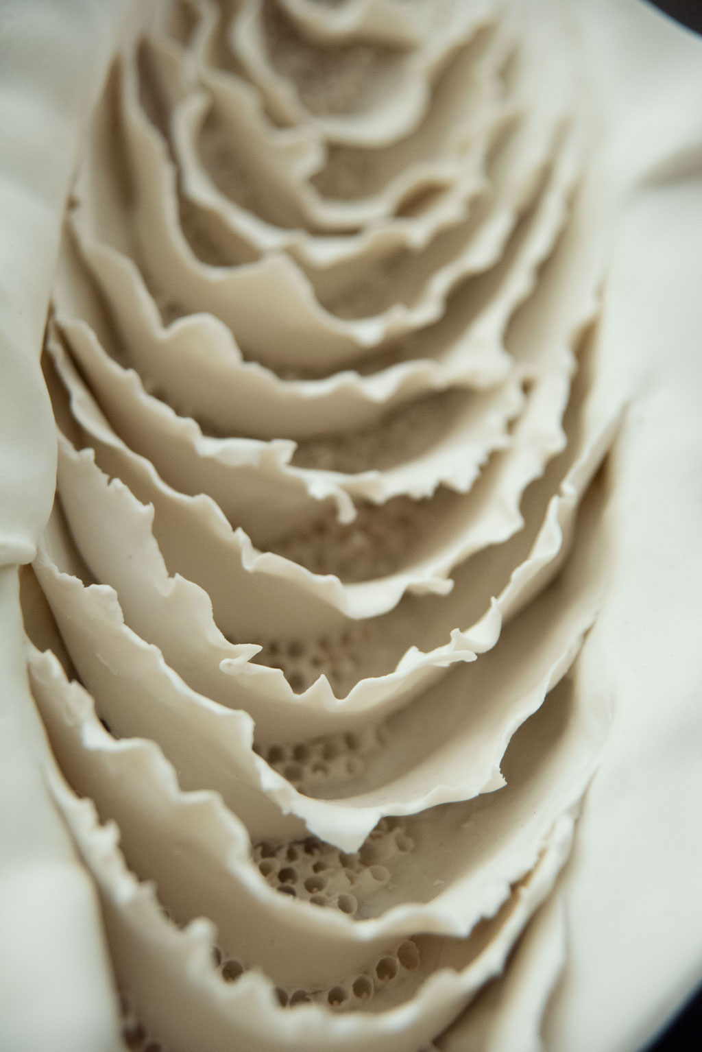 little sister of Moby Dick (Detail), 2020; porcelain; 10/44/23 cm