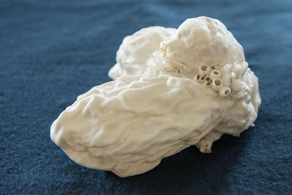 Where have all the colors gone? 2019; porcelain, 12/17/7 cm