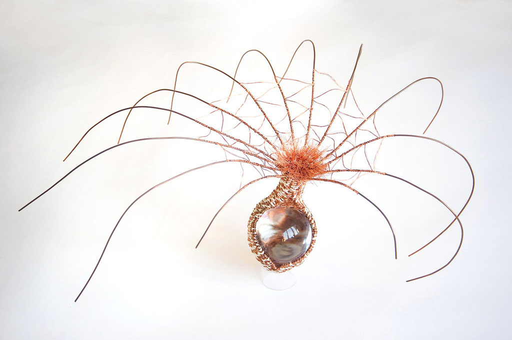 genesis 5 - gutta cum antennas; 30/60/45 cm