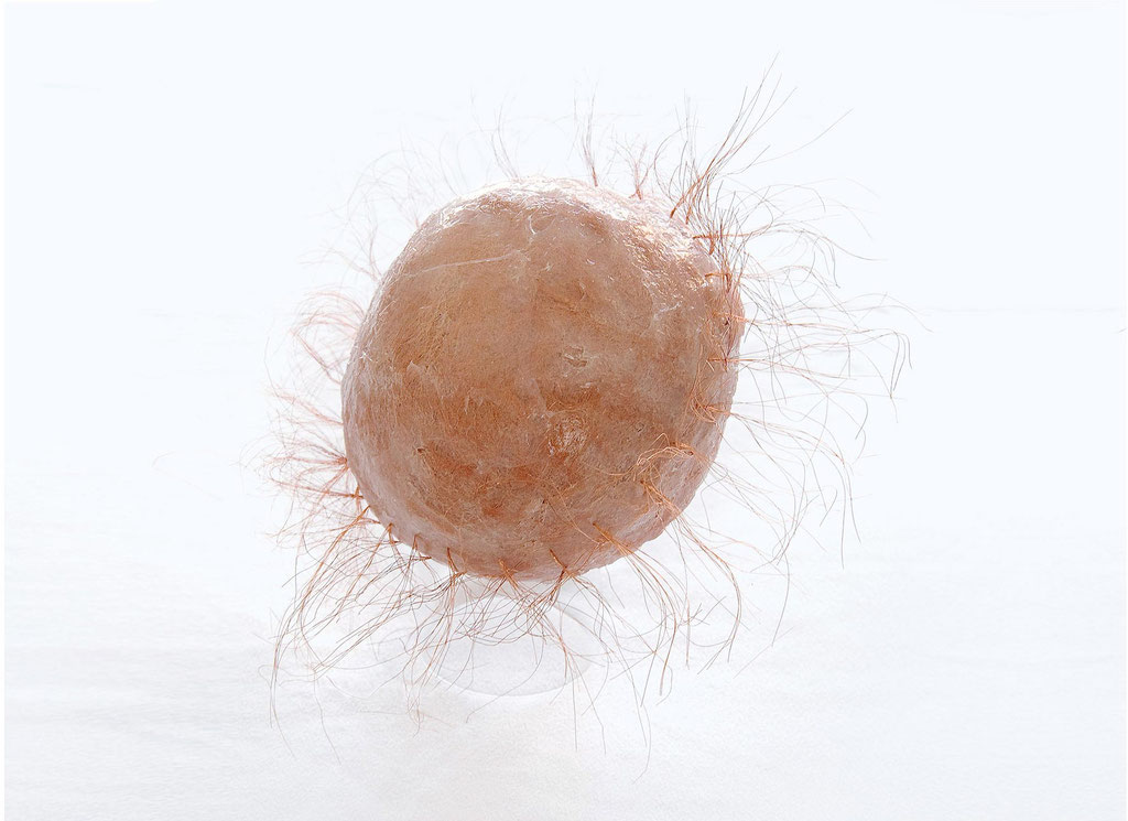 genesis 21 - calvitium; 2017; Silikon, Kupferdraht; 24/40/40 cm