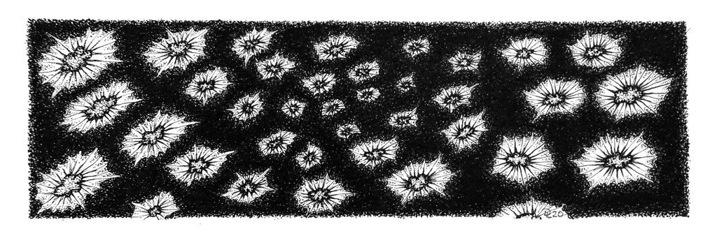 cluster 10 - Zeichnung Fineliner, 7/23 cm