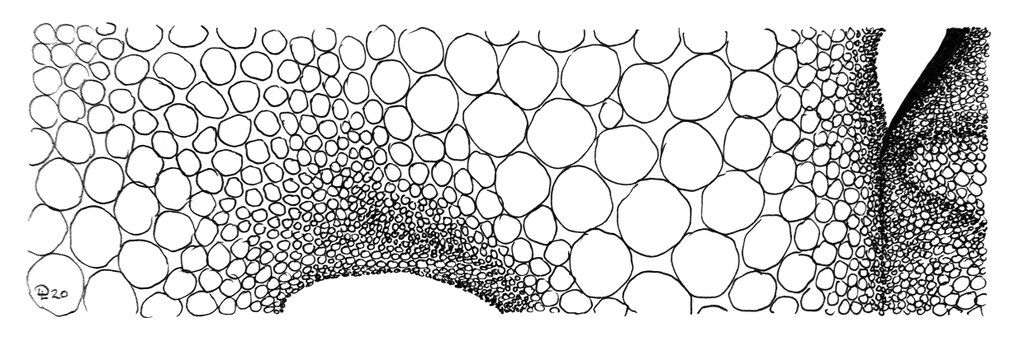 cluster 9 - Zeichnung Fineliner, 7/23 cm