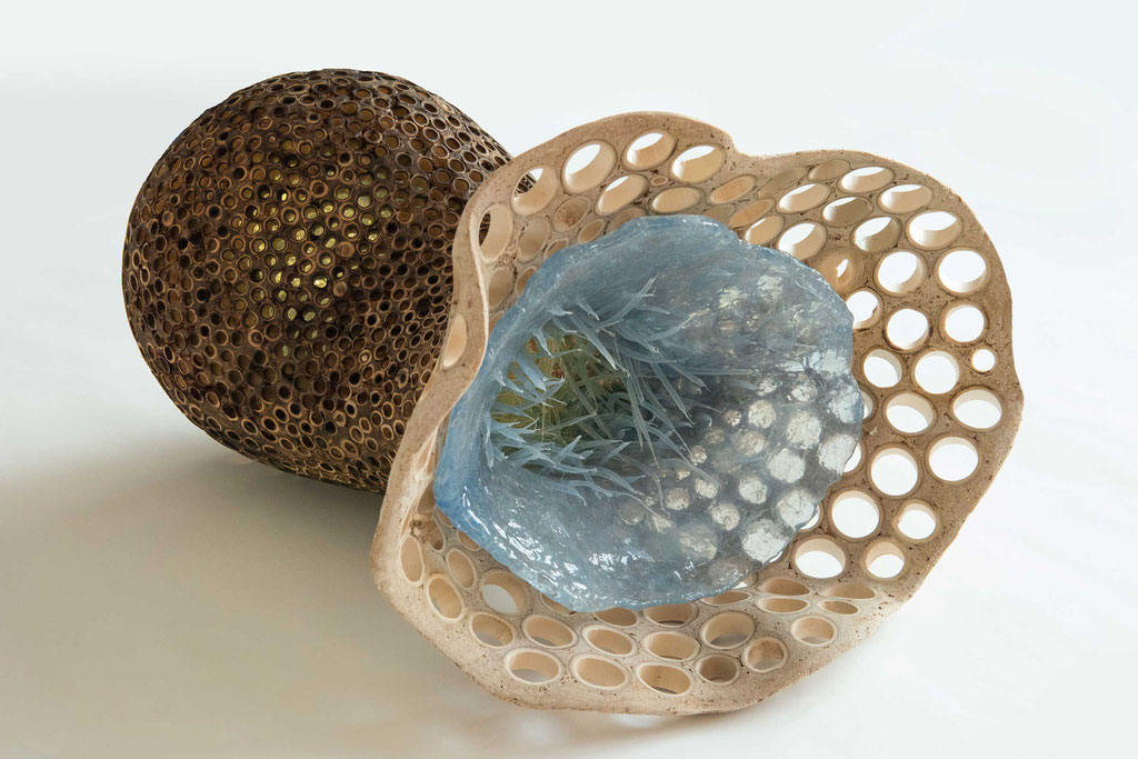 genesis 28 -gula lucius; 45/60/75 cm