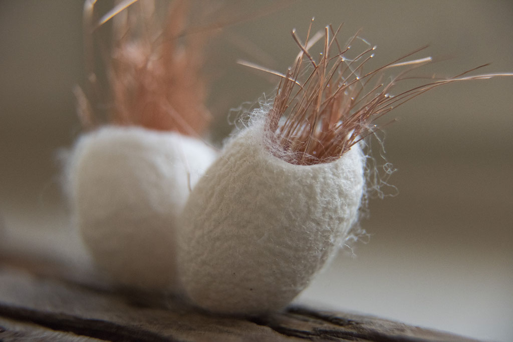 we are family, 2er, Seidenkokons, Kupferdraht, Rinde