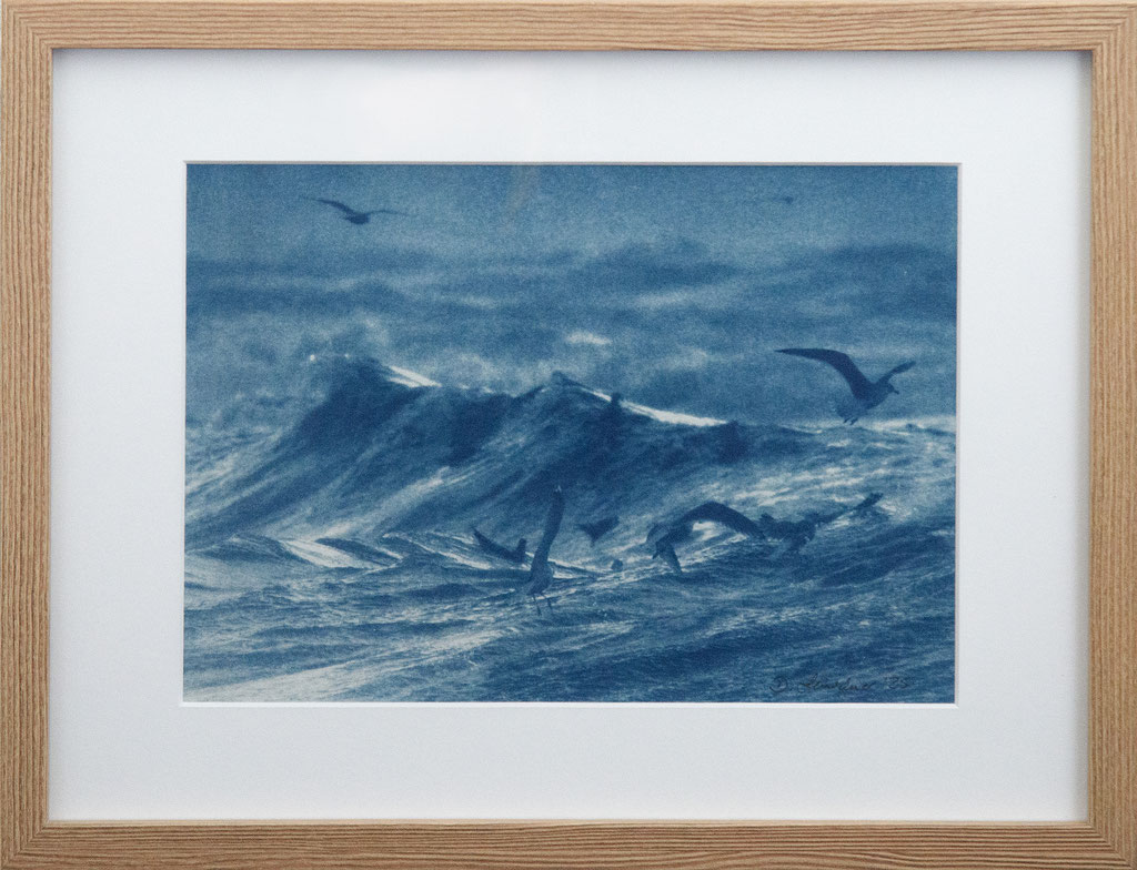 moving force; 2025; Cyanotypie auf Aquarellpapier; 30/40 cm inkl. Rahmen