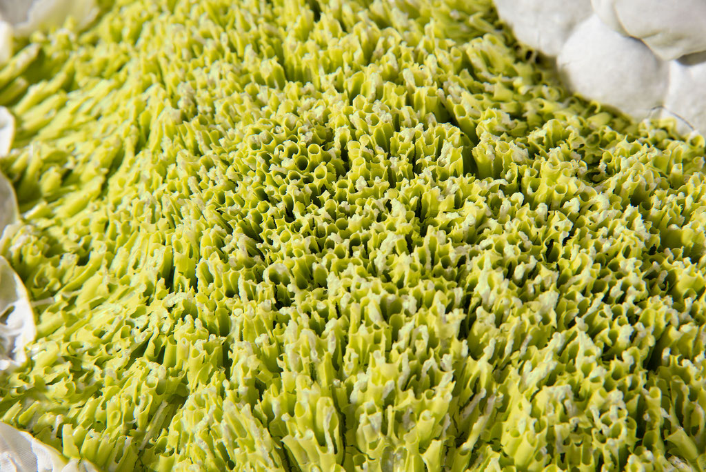 where have all the colors gone? (detail)