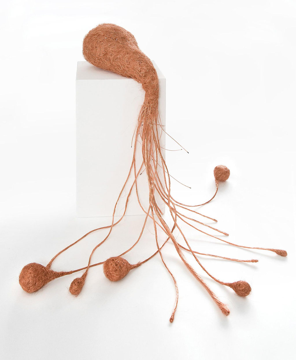 genesis 20 - matercula aes; 2016; Kupferdraht; 45/75/45 cm