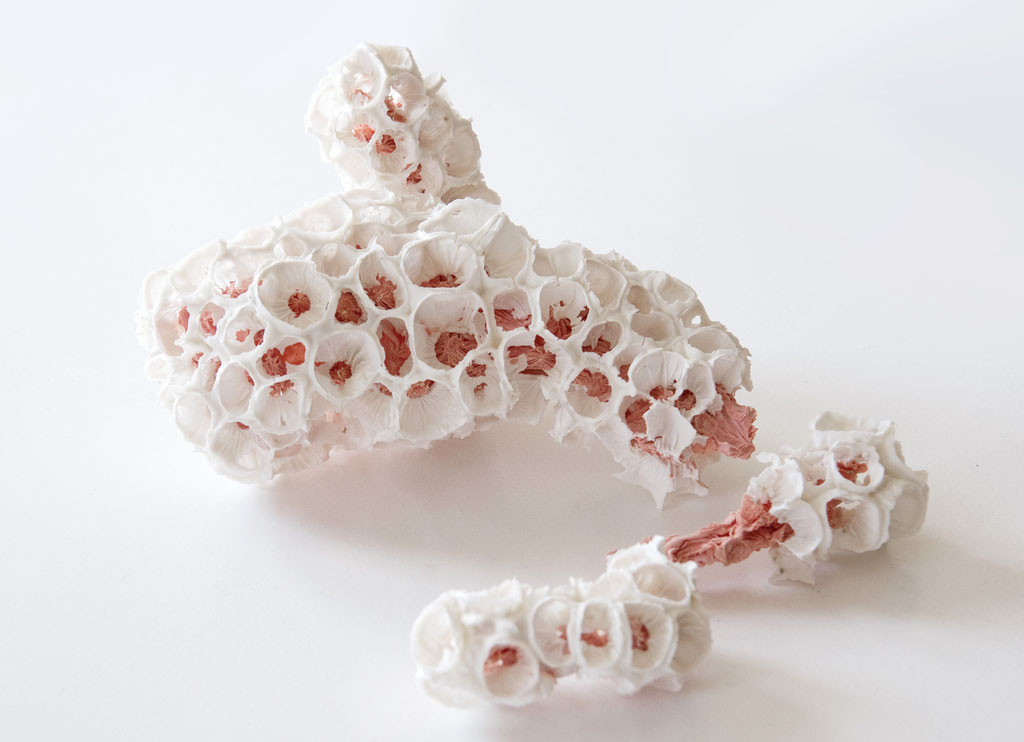 deep sea life; 2024; porcelain, stain; 26/26/15 cm (variable)