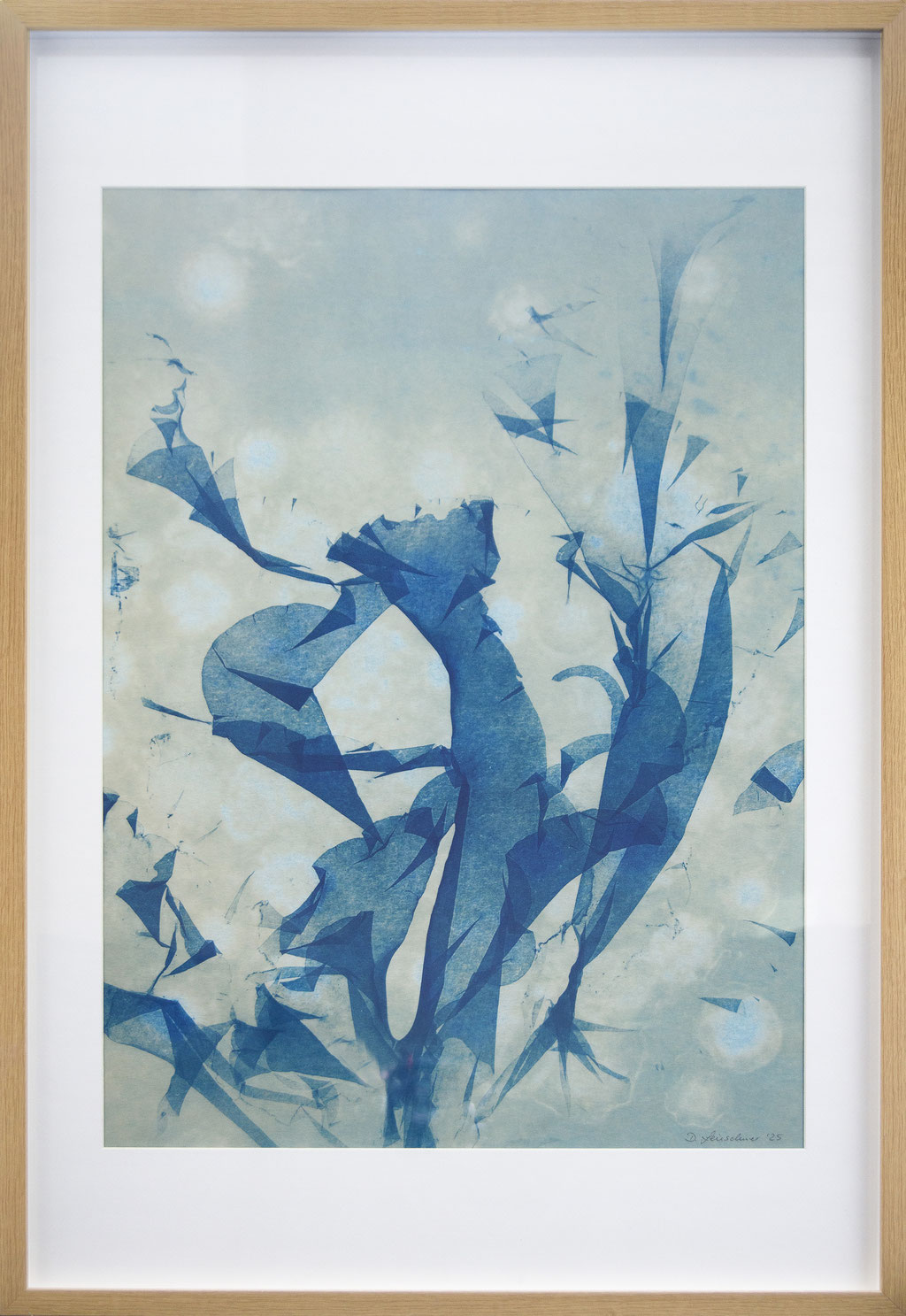 sea lettuce; 2025; Cyanotypie auf Aquarellpapier; 60/90 cm inkl. Rahmen