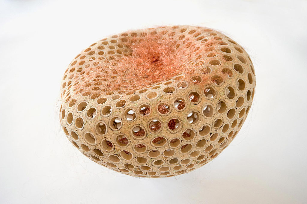 Geneis 2 - protozoa; 2015; Bambus, Klebemasse, Kupferdraht;25/45/45 cm