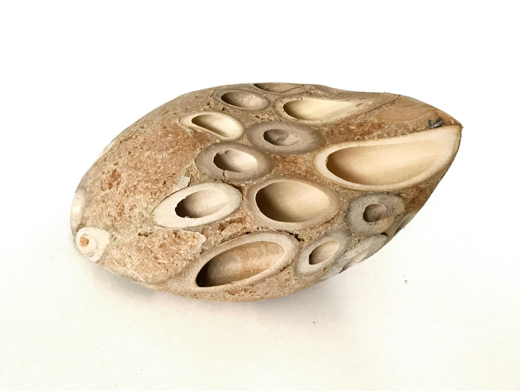 genesis 22 - frateres et sorores; 2016; Bambus, Klebemasse; 11/18/12 cm