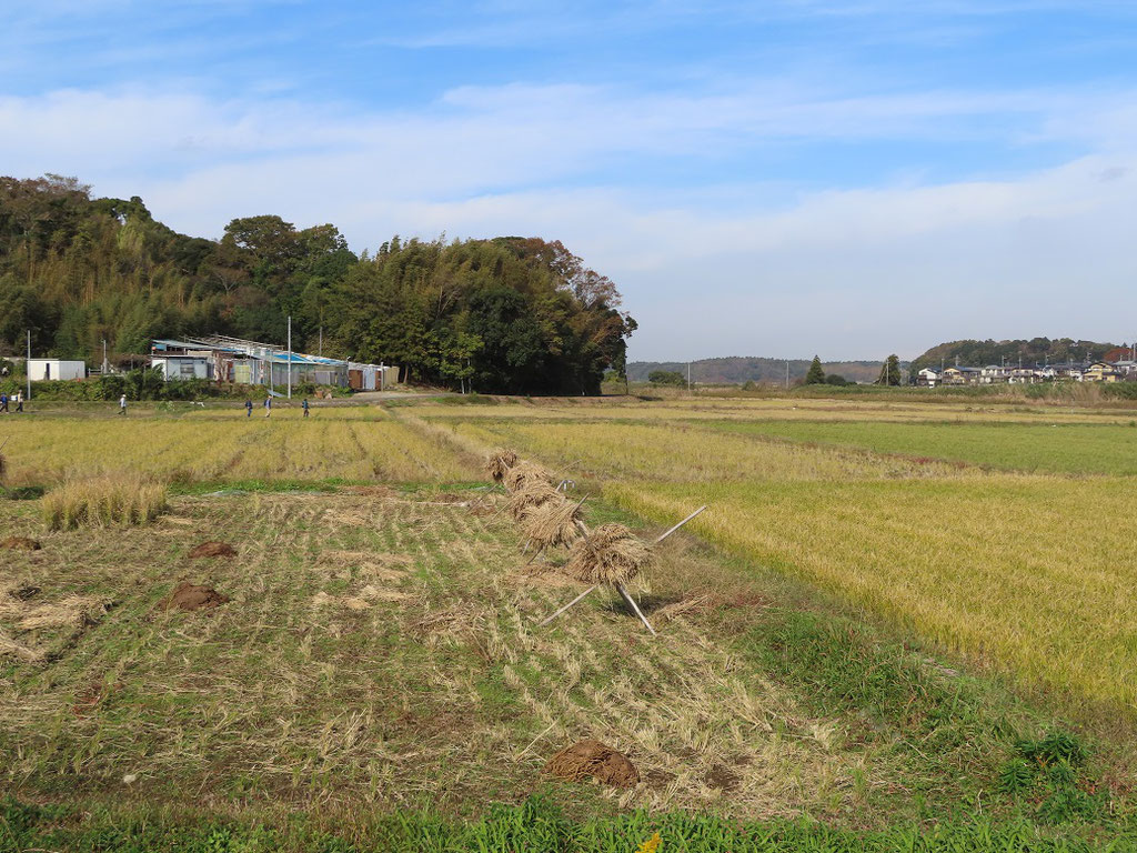 旧佐倉街道を行く