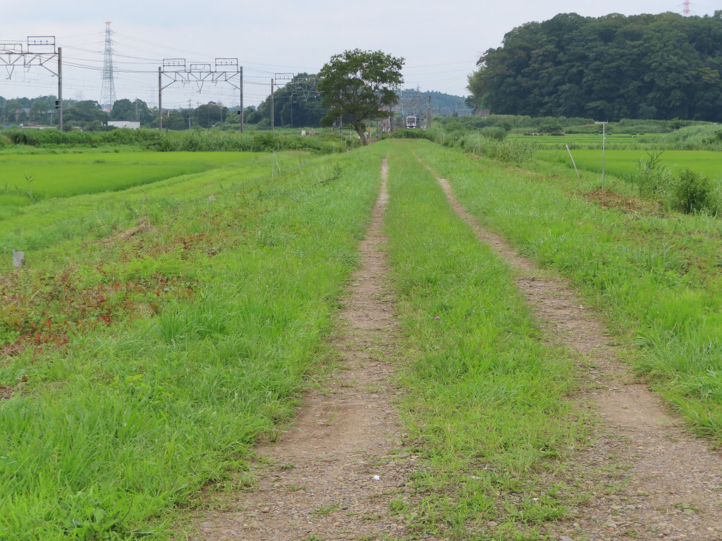 　以前の線路跡