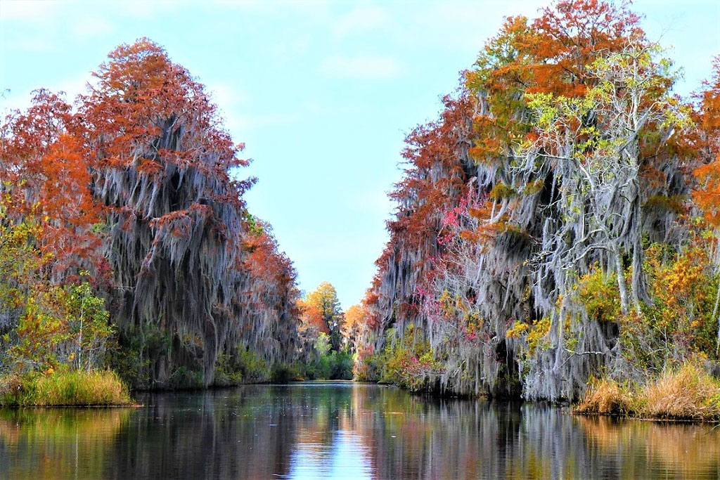 Okefenokee Adventures