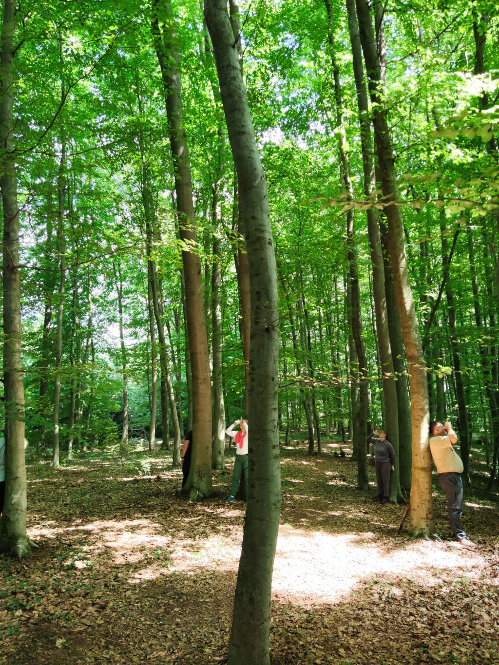 Bad Salzuflen 