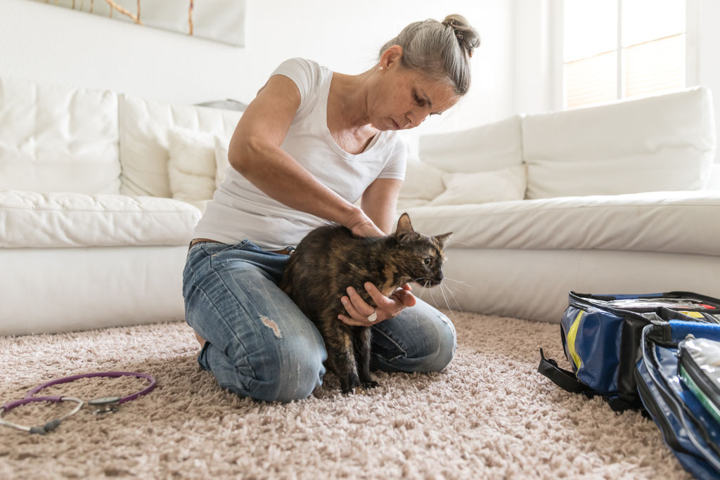Dr. Enrica Steden beim Hausbesuch - Palliativmedizin für Tiere - Teltow, Kleinmachnow, Stahnsdorf