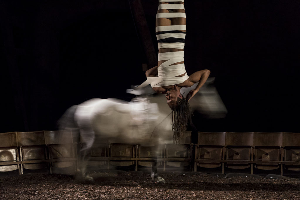 Virtual Reality, Immersion, Horse, Performance Art, Katharina Haverich, 48h Neukölln, SXSW, Berlinale, 