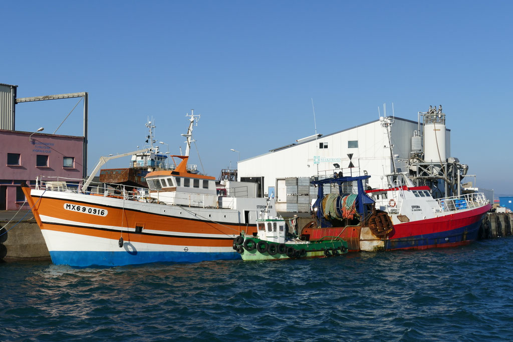 Fischereihafen, Douarnenez, Bretagne