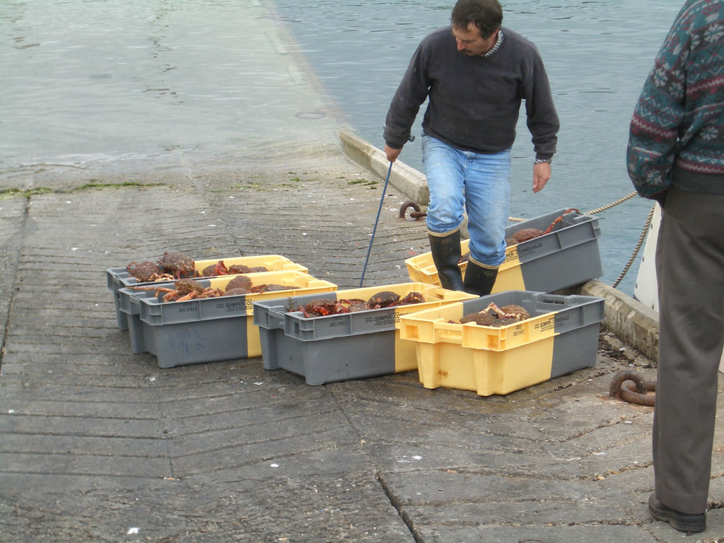 Audierne, Cap Sizun, Fischer am Hafen bei der Arbeit