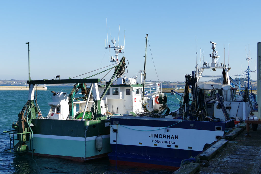 Fischereihafen, Douarnenez, Bretagne