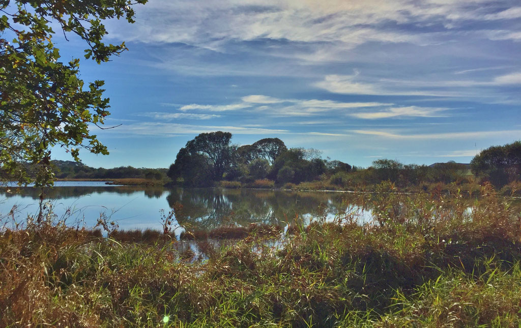 Plouhinec Etang de Poulgouidou, Spaziergang, Erhohlung