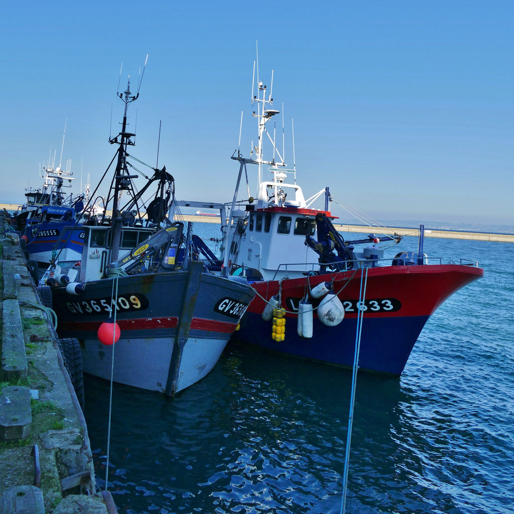 Fischereihafen, Douarnenez, Bretagne