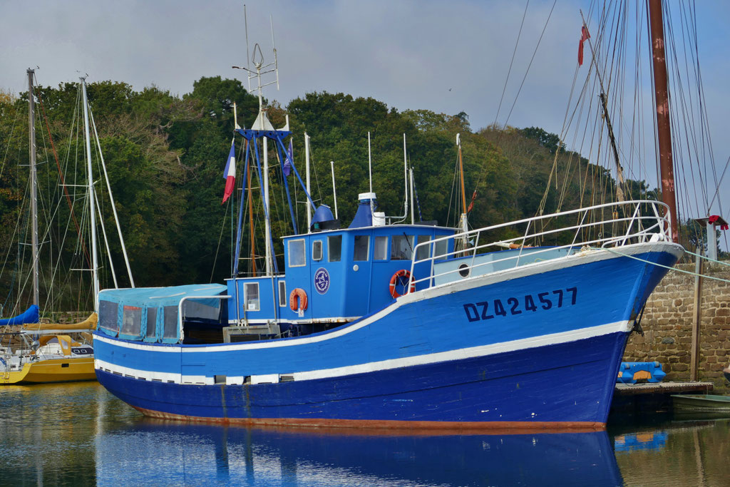 Fischereihafen, Douarnenez, Bretagne