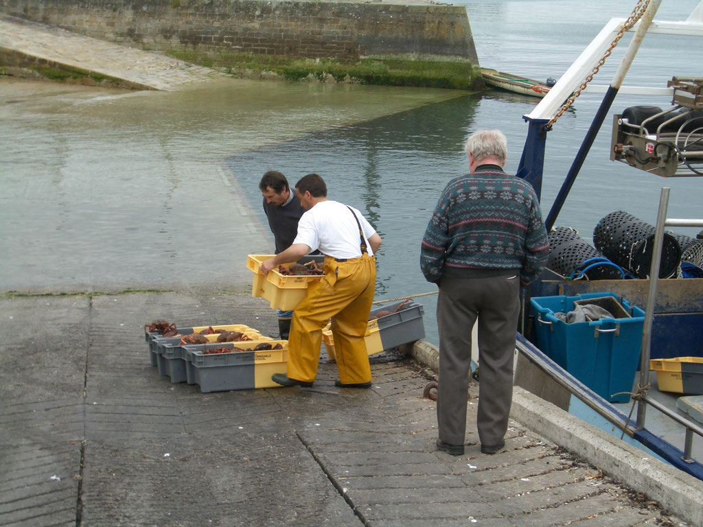 Audierne, Cap Sizun, Fischer am Hafen bei der Arbeit