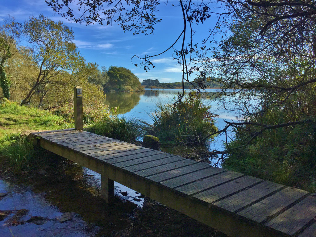 Plouhinec Etang de Poulgouidou, Spaziergang, Erhohlung
