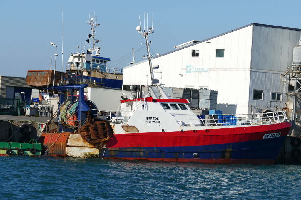 Fischereihafen Douarnenez, Bretagne