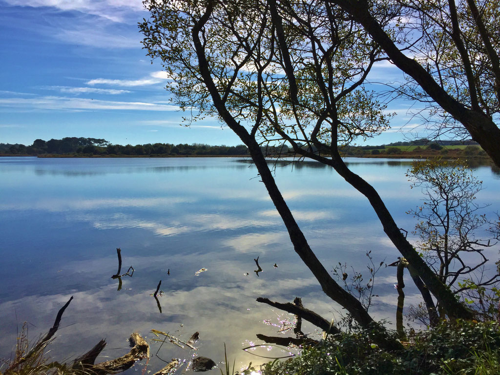 Plouhinec Etang de Poulgouidou, Spaziergang, Erhohlung