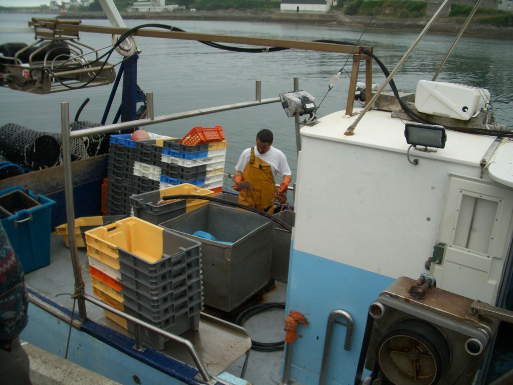 Audierne, Cap Sizun, Fischer am Hafen bei der Arbeit