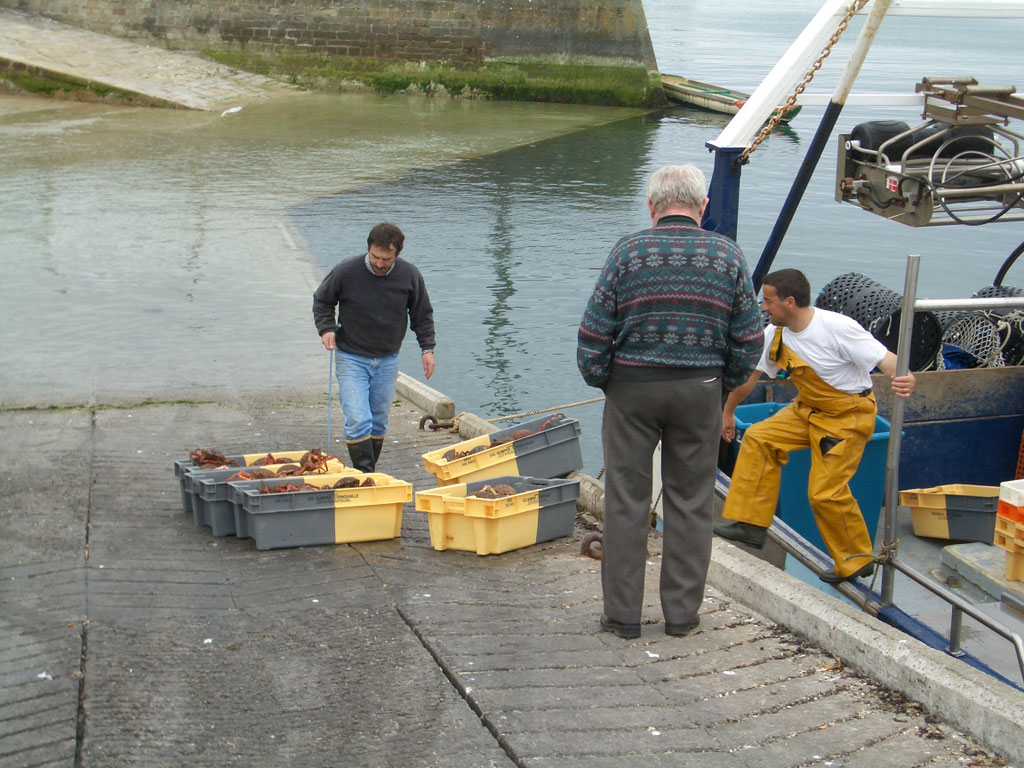 Audierne, Cap Sizun, Fischer am Hafen bei der Arbeit
