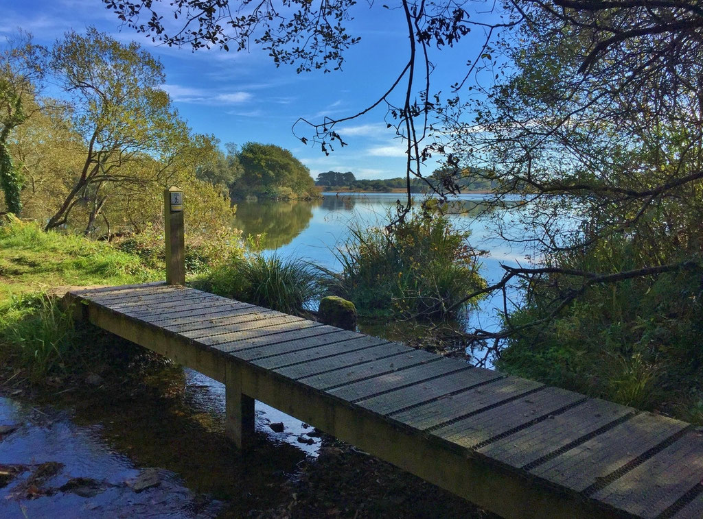 Wandern am Cap Sizun, Etang de Poulguidou