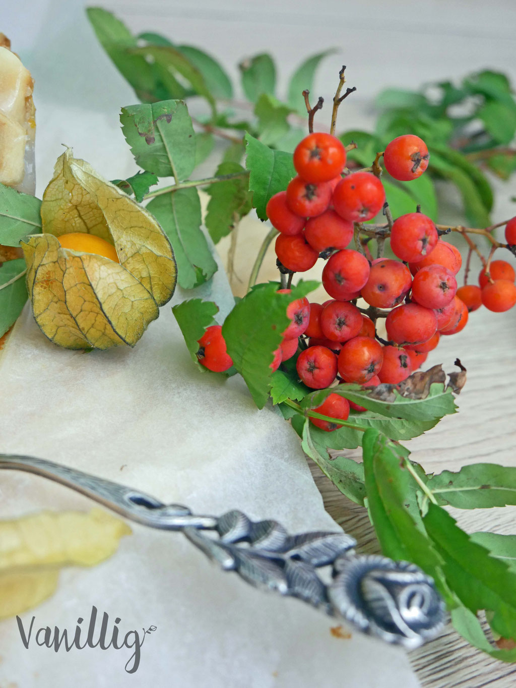 Einfacher und saftiger Apfelkuchen