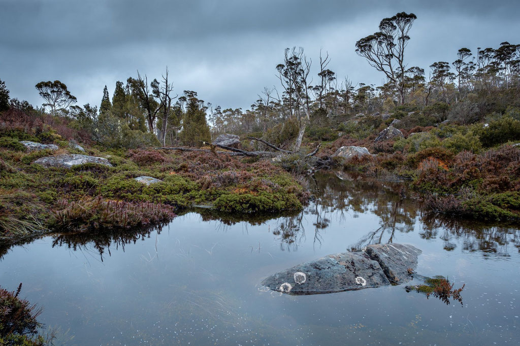 Walls of Jerusalem-Track: Solomons jewels Tasmanien