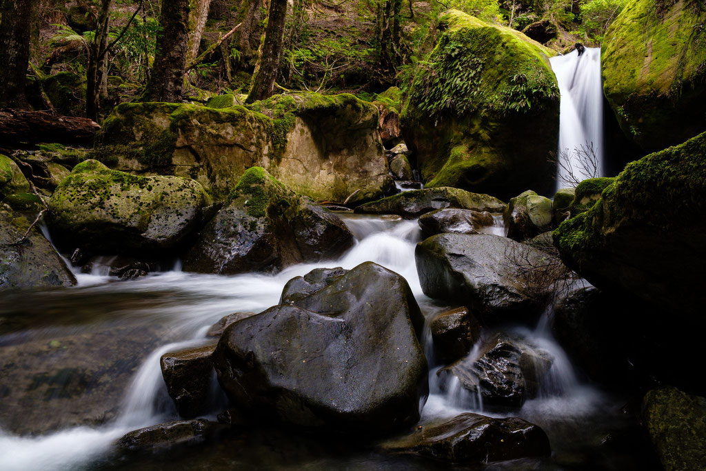 Lower Chasm Falls, Meander Forest Reserve