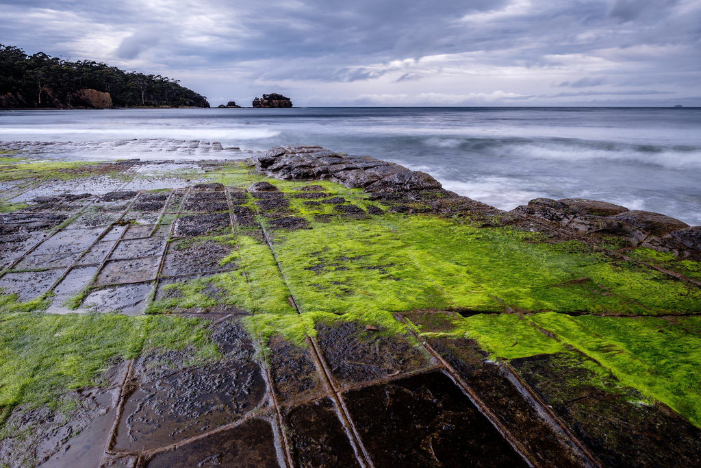 Tessellated pavement,  Tasman Peninsula