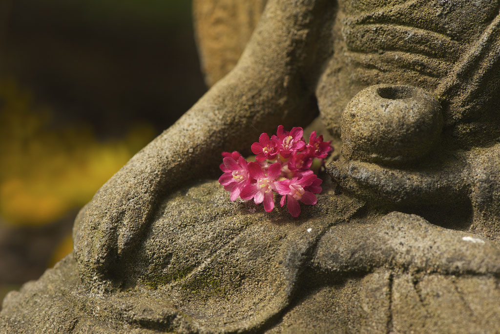© Volkmar Weede | Buddhistische Meditation Amon-Weede Mantra Yoga Pranayama