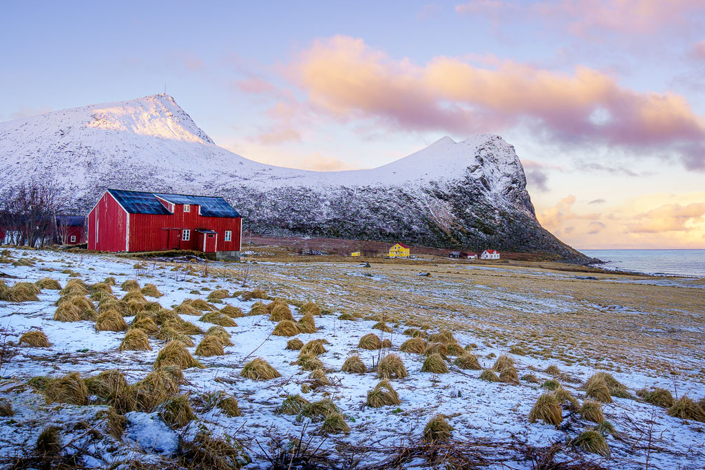 Lofoten: Myrland