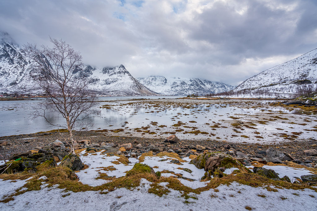 Lofoten Impressionen