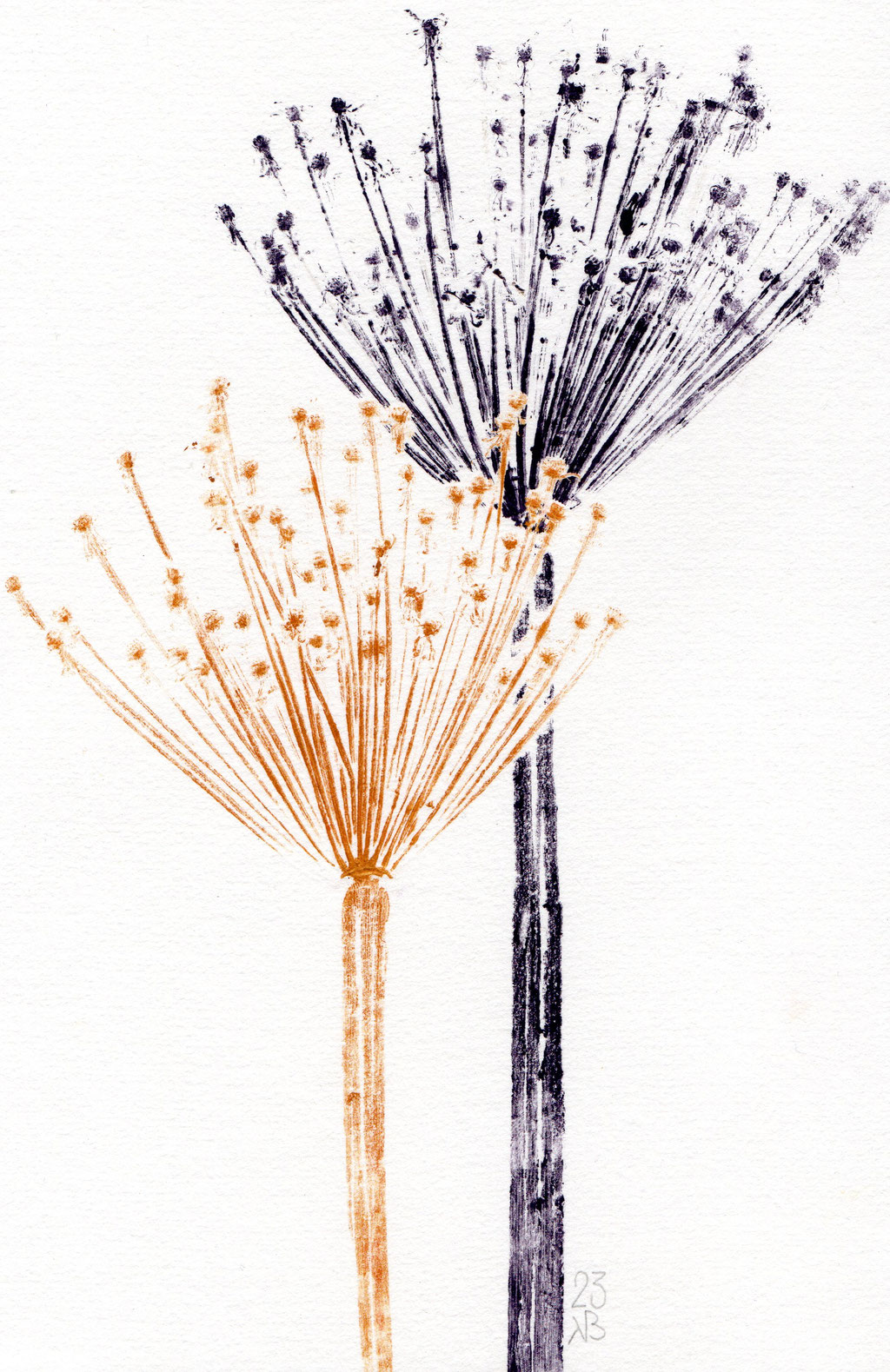 Katinka Bonnema - Allium