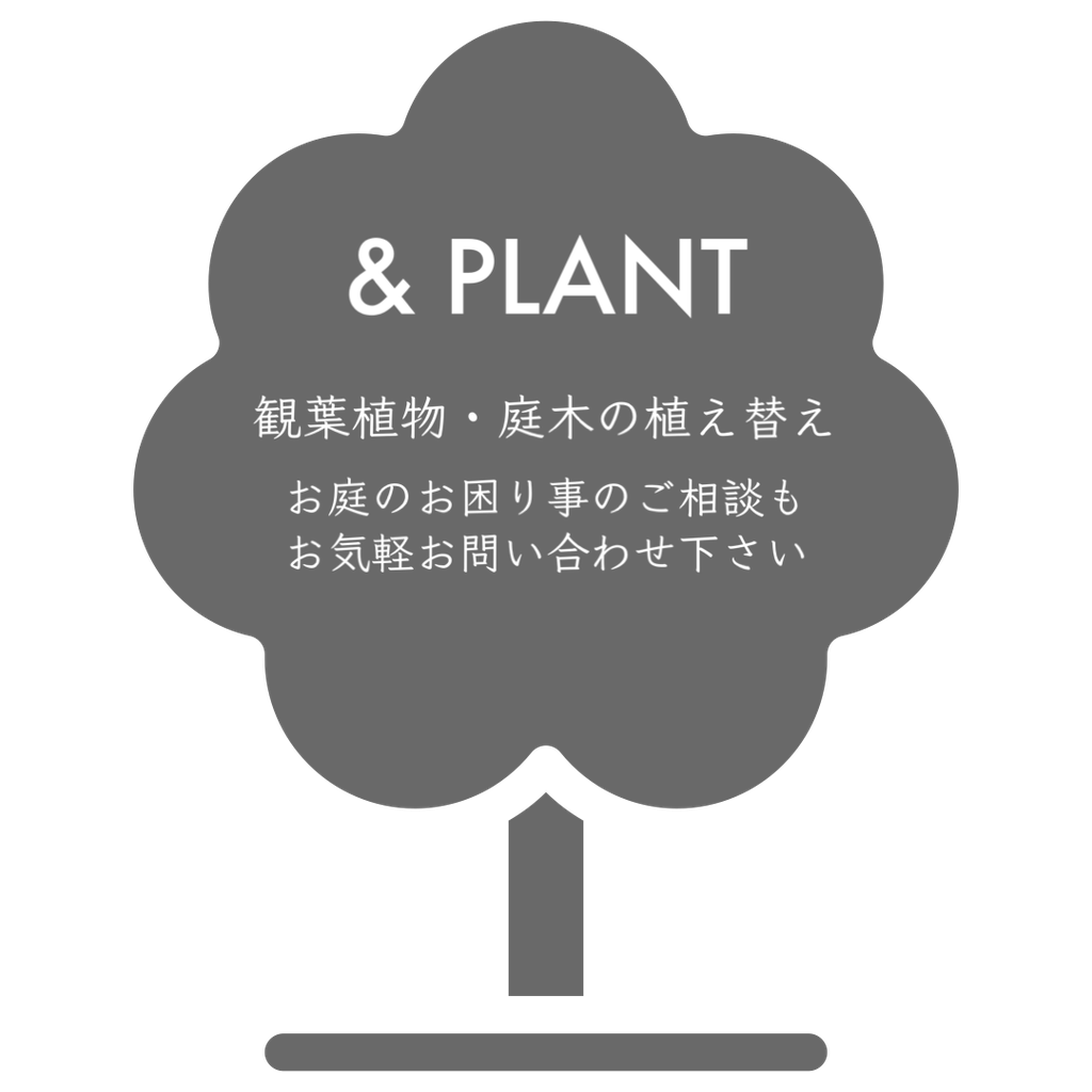 & PLANT