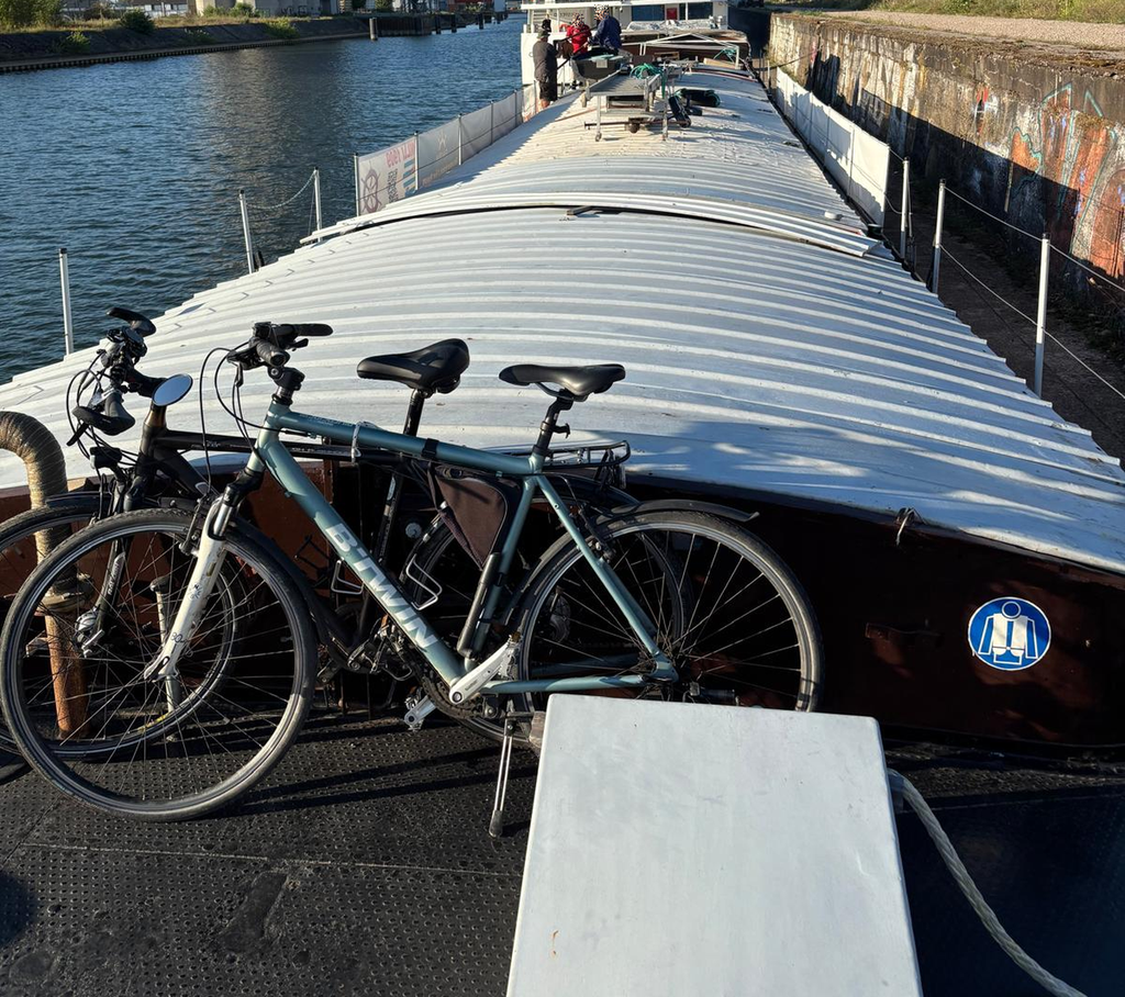 WILLI abgebaut auf 3,50 Meter (© 18.08.2025 Saskia G.)